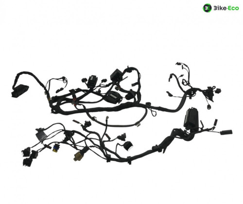 Faisceau electrique BMW F 800 R 2012-2014