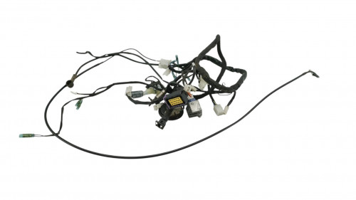 Faisceau electrique BETA RR 50 MOTARD 2021 - 2024