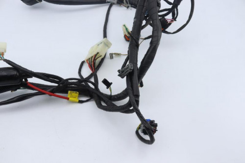 Faisceau electrique DAELIM 125 S3 2011 - 2012