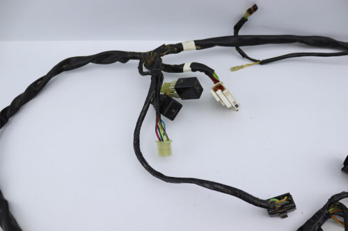 Faisceau electrique HONDA 50 SFX 1995 - 1996