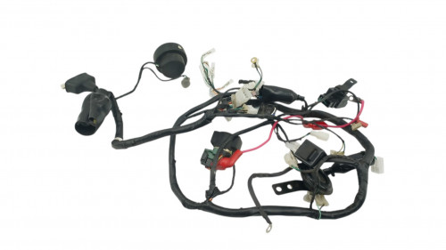 Faisceau electrique MASAI XRAY 50 2019 - 2025