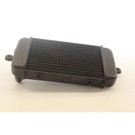 Radiateur eau BMW C1 125 ABS 2000 - 2003