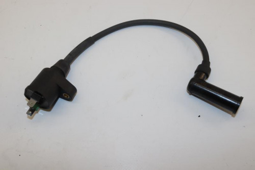 Bobine allumage PIAGGIO 125 X EVO 2016 - 2017