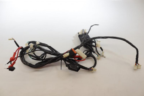 Faisceau electrique JM MOTORS 50 RITMO 2019 - 2020