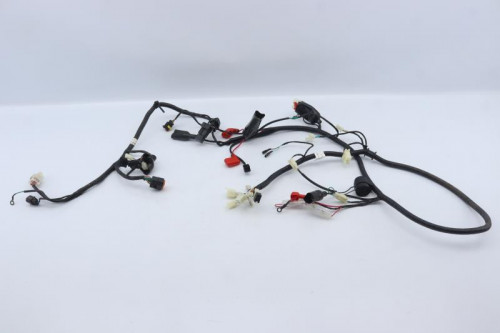 Faisceau electrique NECO 50 ONE RACING 2020 - 2021