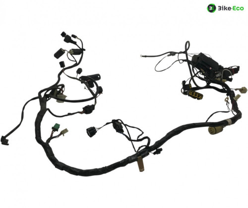 Faisceau electrique KAWASAKI ZX-6 R 600 2000-2001 NINJA