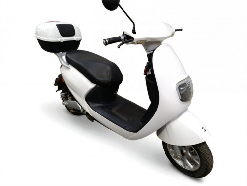 SAKURA 50