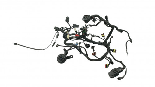 Faisceau electrique BMW G 310 R 2016 - 2020