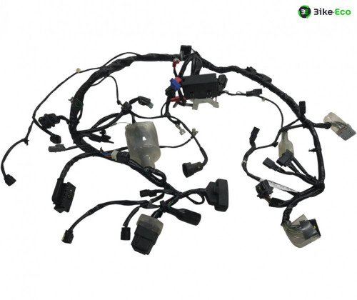 Faisceau electrique HONDA NSS 125 2021-2022 FORZA