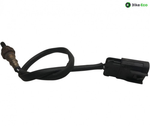 Sonde lambda MV AGUSTA BRUTALE 800 2012-2015