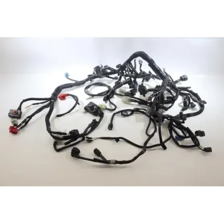 Faisceau electrique KAWASAKI Z 900 2020 - 2021