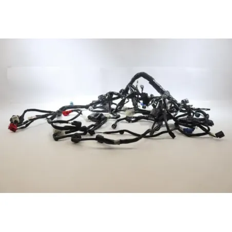 Faisceau electrique KAWASAKI Z 900 2020 - 2021