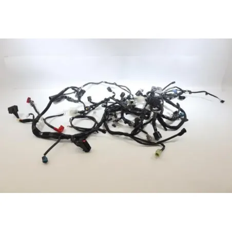 Faisceau electrique KAWASAKI Z 900 2020 - 2021