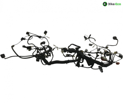 Faisceau electrique MV AGUSTA BRUTALE 800 2012-2015