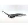 Cache carenage sous selle droit KAWASAKI Z 900 2020 - 2021 Cache carenage sous selle droit KAWASAKI Z 900 2020 - 2021