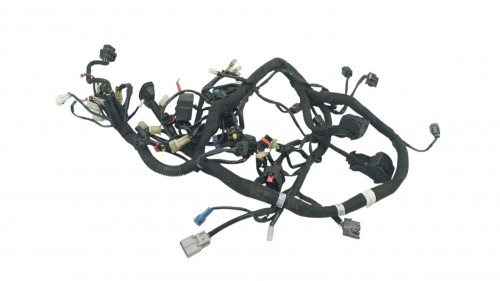 Faisceau electrique KTM DUKE 790 2018 - 2025