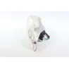 Clignotant arriere droit DAELIM S4 50 2010 - 2015 Clignotant arriere droit DAELIM S4 50 2010 - 2015