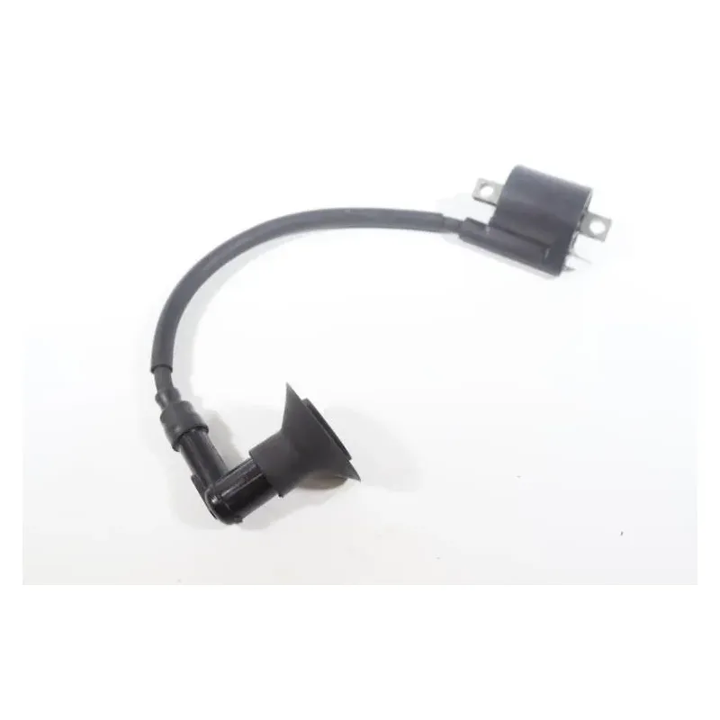Bobine allumage YAMAHA CW 50 BWS 2004 - 2012