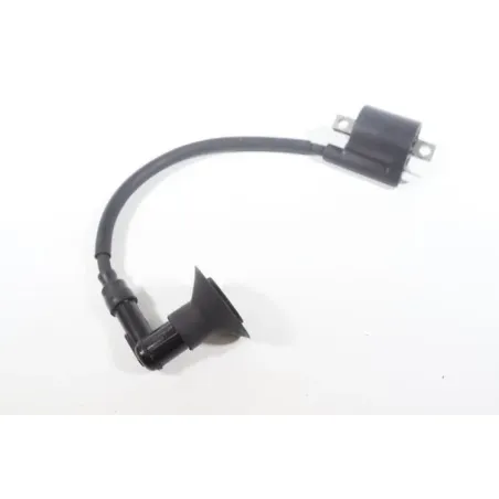 Bobine allumage YAMAHA CW 50 BWS 2004 - 2012