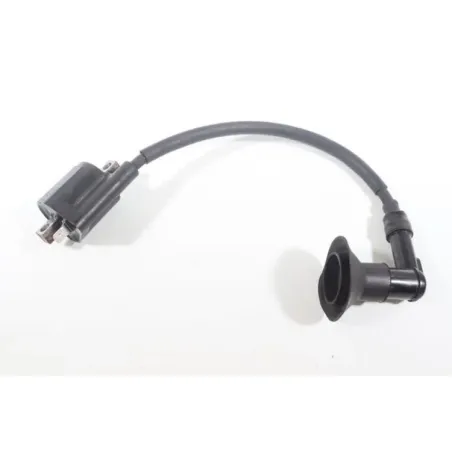 Bobine allumage YAMAHA CW 50 BWS 2004 - 2012