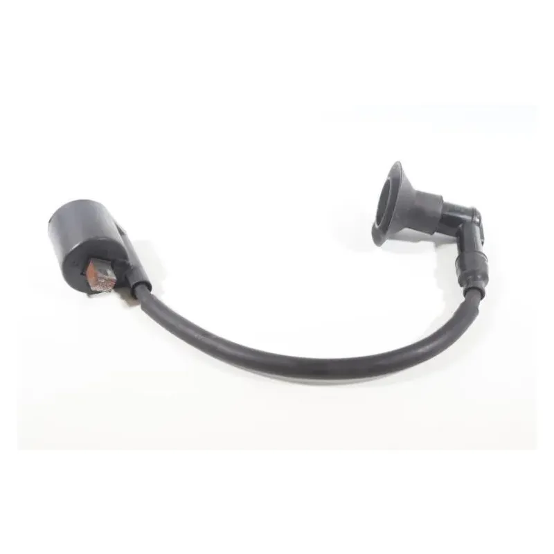 Bobine allumage YAMAHA CW 50 BWS 2004 - 2012