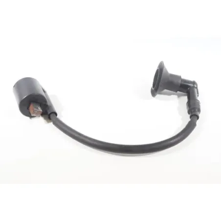 Bobine allumage YAMAHA CW 50 BWS 2004 - 2012