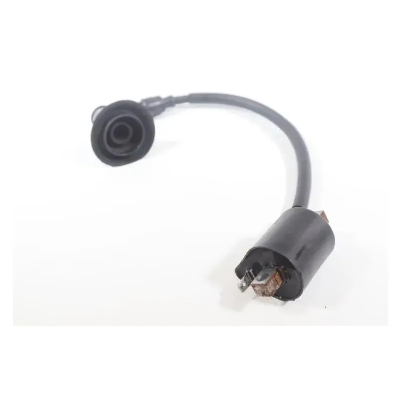 Bobine allumage YAMAHA CW 50 BWS 2004 - 2012