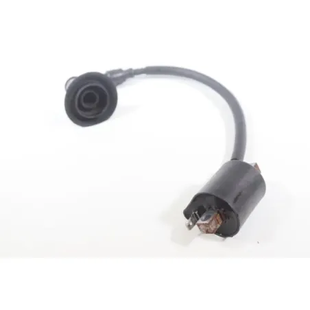 Bobine allumage YAMAHA CW 50 BWS 2004 - 2012