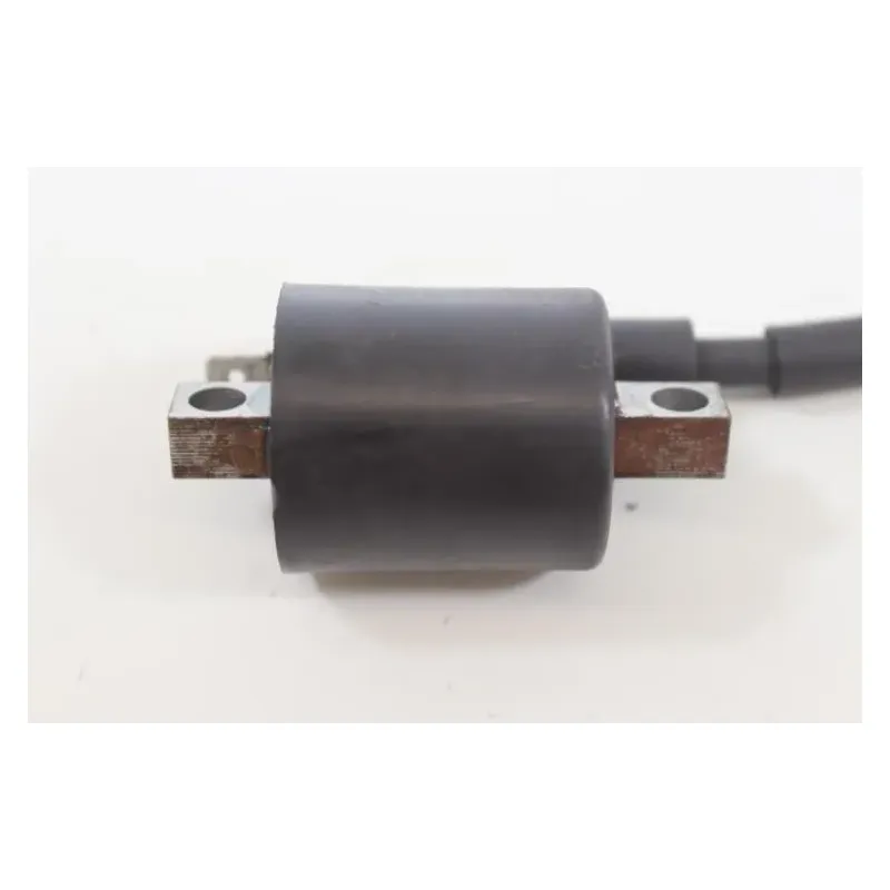 Bobine allumage YAMAHA CW 50 BWS 2004 - 2012