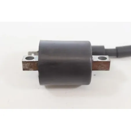 Bobine allumage YAMAHA CW 50 BWS 2004 - 2012