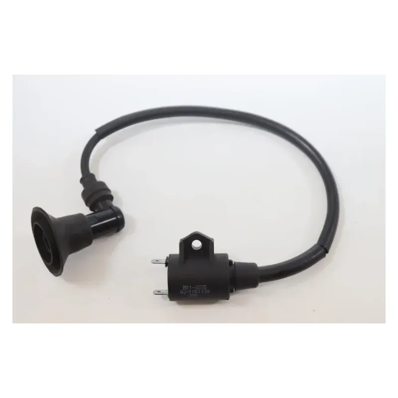 Bobine allumage KEEWAY RY6 50 2011 - 2019