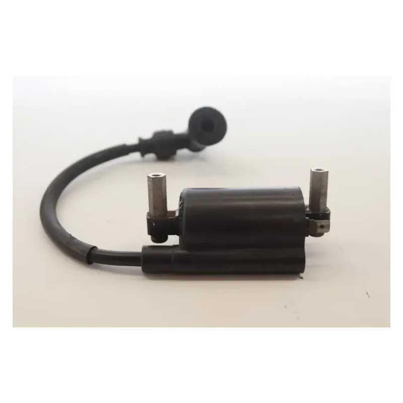 Bobine allumage SUZUKI TU 125 X SUPER CLASSIC 1999 - 2002