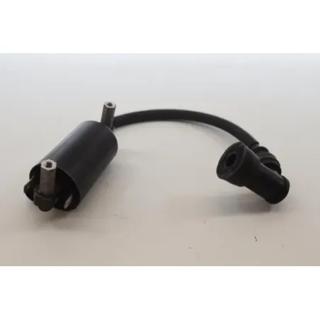 Bobine allumage SUZUKI TU 125 X SUPER CLASSIC 1999 - 2002