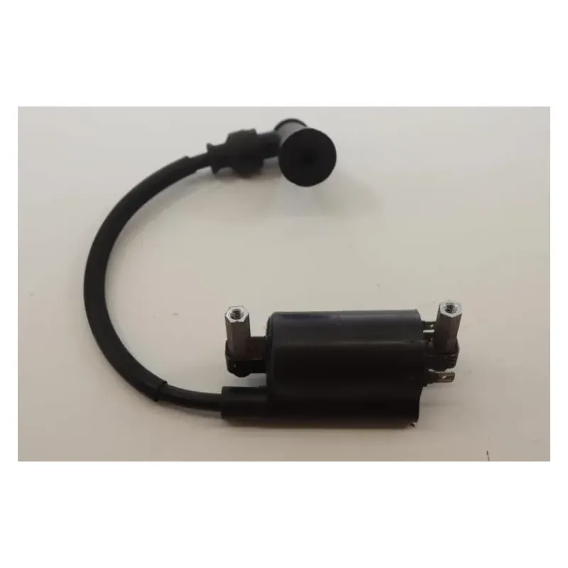 Bobine allumage SUZUKI TU 125 X SUPER CLASSIC 1999 - 2002