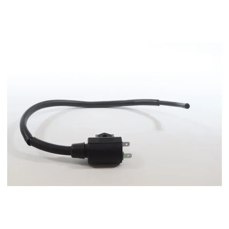 Bobine allumage KEEWAY RY6 50 2011 - 2019