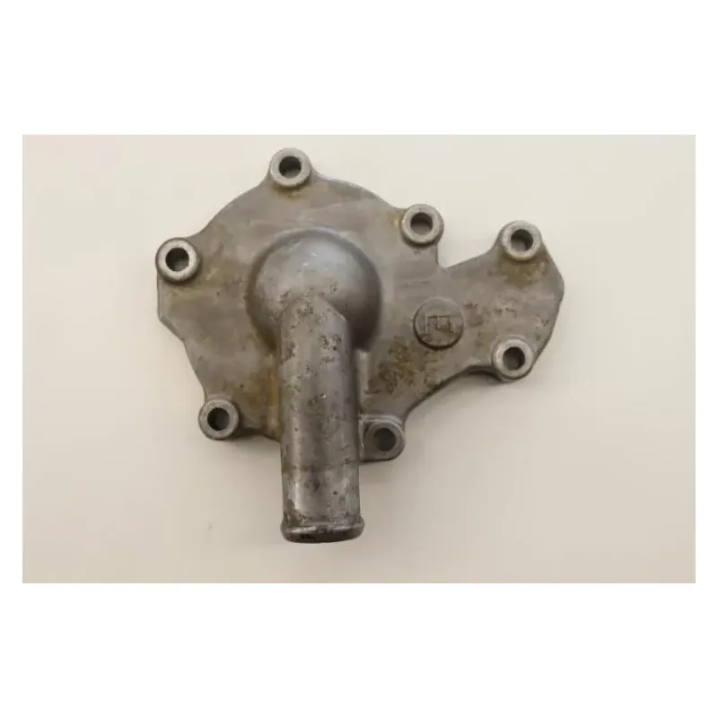 Carter pompe a eau MASAI A 450 2006 - 2009