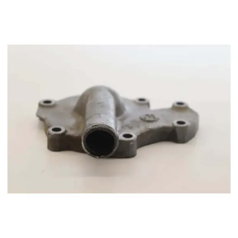Carter pompe a eau MASAI A 450 2006 - 2009