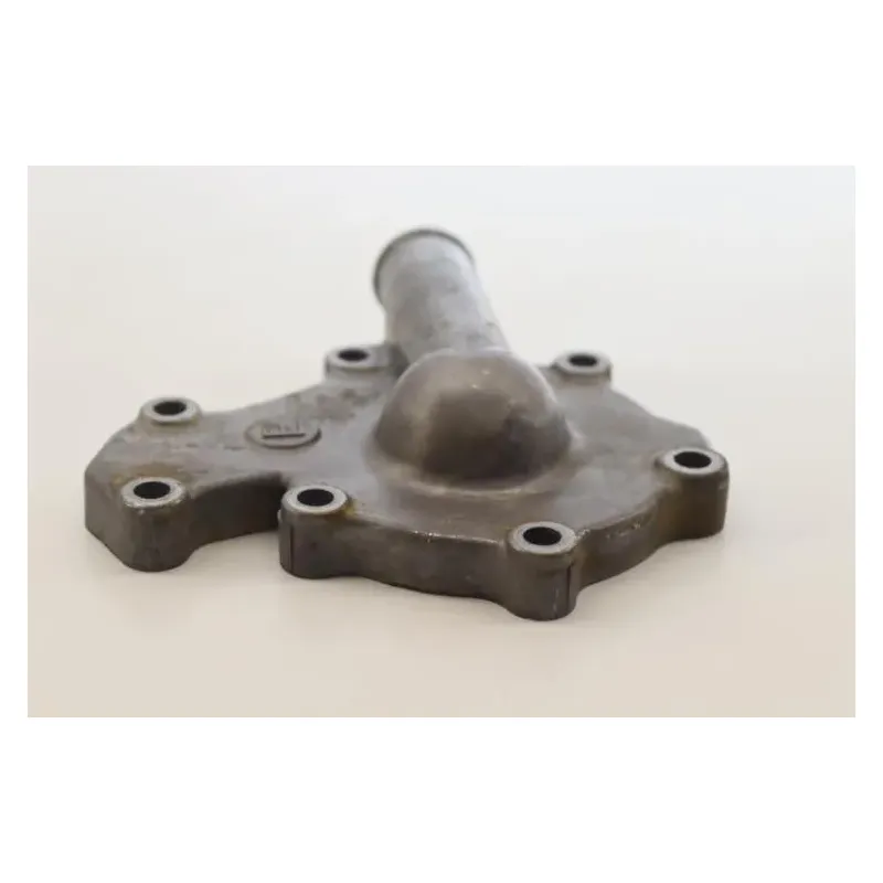 Carter pompe a eau MASAI A 450 2006 - 2009