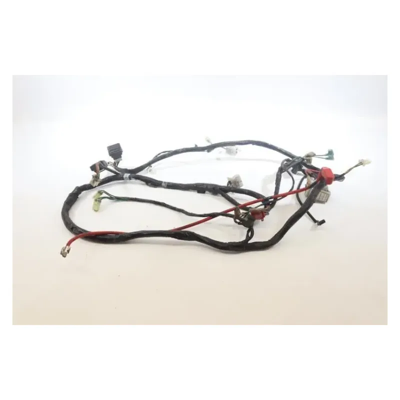 Faisceau electrique SYM HD 125 2004 - 2007