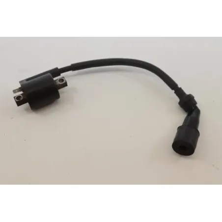 Bobine allumage YAMAHA MAJESTY 125 2001 - 2002