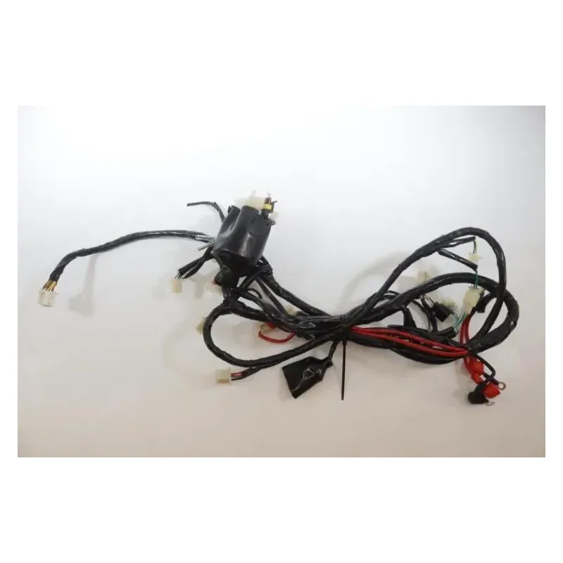 Faisceau electrique JM MOTORS RITMO 50 2019 - 2020