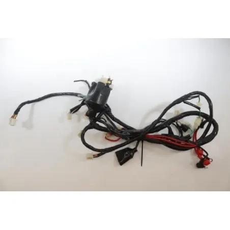 Faisceau electrique JM MOTORS RITMO 50 2019 - 2020