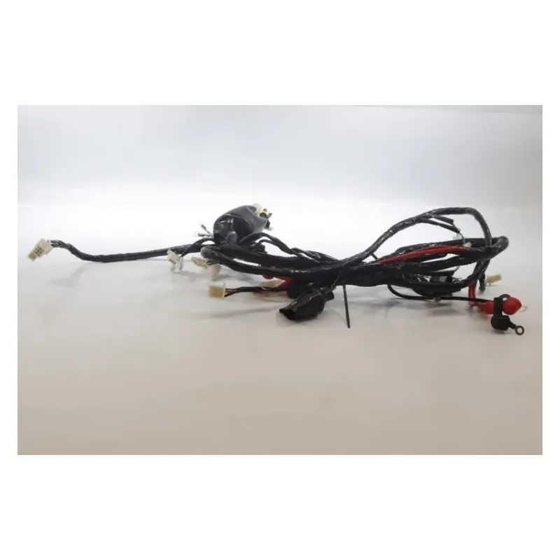 Faisceau electrique JM MOTORS RITMO 50 2019 - 2020