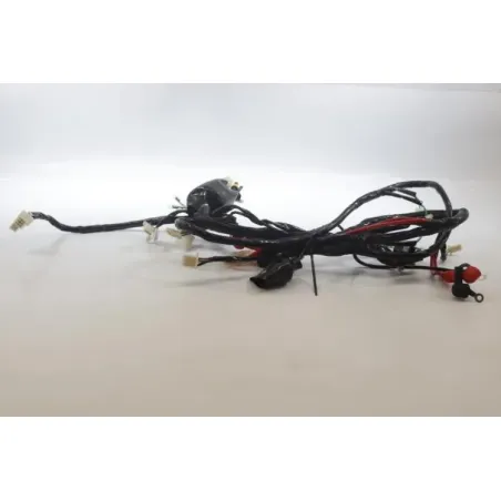 Faisceau electrique JM MOTORS RITMO 50 2019 - 2020