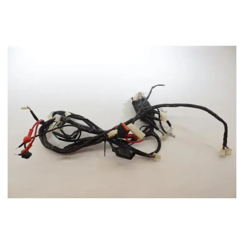 Faisceau electrique JM MOTORS RITMO 50 2019 - 2020