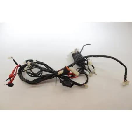 Faisceau electrique JM MOTORS RITMO 50 2019 - 2020