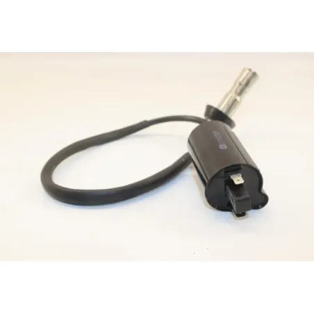 Bobine allumage EUROCKA GTR 50 2012 - 2020
