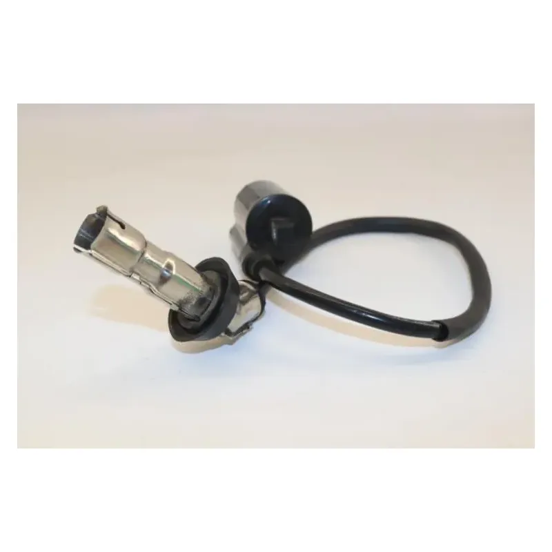 Bobine allumage EUROCKA GTR 50 2012 - 2020
