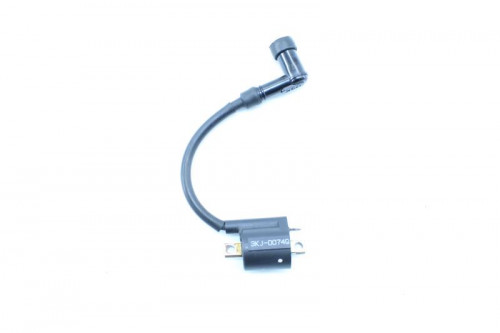 Bobine allumage RIEJU MRT 50 13-17