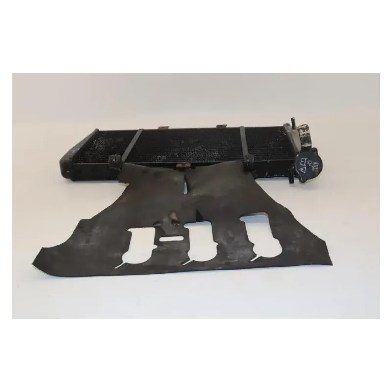 Radiateur eau TRIUMPH SPRINT 1050 ST ABS 2005 - 2010